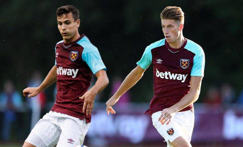 更为高大的 更为高大的